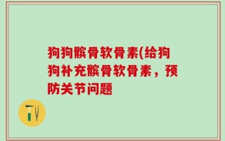 狗狗髌骨软骨素(给狗狗补充髌骨软骨素，预防关节问题