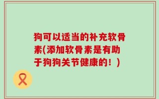 狗可以适当的补充软骨素(添加软骨素是有助于狗狗关节健康的！)