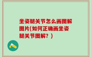 坐姿腿关节怎么画图解图片(如何正确画坐姿腿关节图解？)
