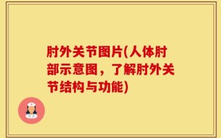 肘外关节图片(人体肘部示意图，了解肘外关节结构与功能)