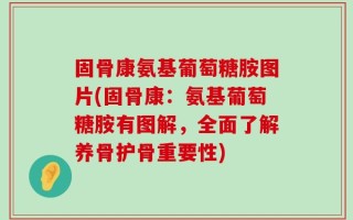 固骨康氨基葡萄糖胺图片(固骨康：氨基葡萄糖胺有图解，全面了解养骨护骨重要性)