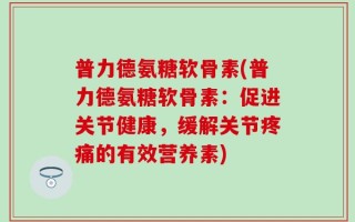 普力德氨糖软骨素(普力德氨糖软骨素：促进关节健康，缓解关节疼痛的有效营养素)