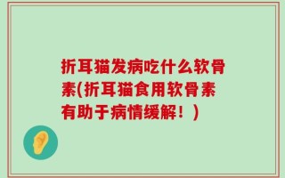 折耳猫发病吃什么软骨素(折耳猫食用软骨素有助于病情缓解！)