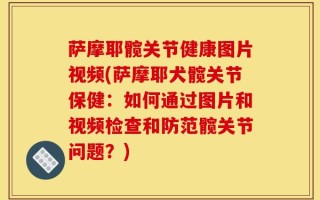 萨摩耶髋关节健康图片视频(萨摩耶犬髋关节保健：如何通过图片和视频检查和防范髋关节问题？)