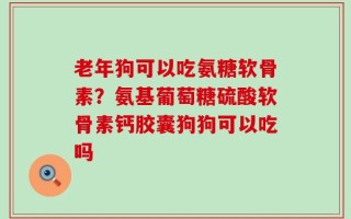 老年狗可以吃氨糖软骨素？氨基葡萄糖硫酸软骨素钙胶囊狗狗可以吃吗