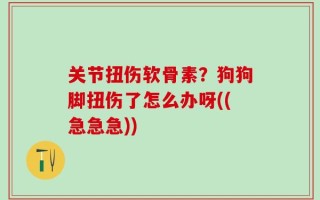 关节扭伤软骨素？狗狗脚扭伤了怎么办呀((急急急))