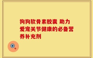狗狗软骨素胶囊 助力爱宠关节健康的必备营养补充剂
