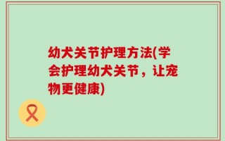 幼犬关节护理方法(学会护理幼犬关节，让宠物更健康)