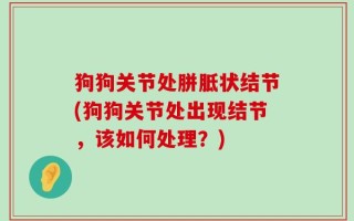 狗狗关节处胼胝状结节(狗狗关节处出现结节，该如何处理？)