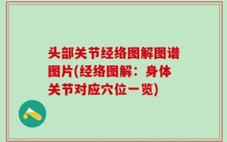 头部关节经络图解图谱图片(经络图解：身体关节对应穴位一览)