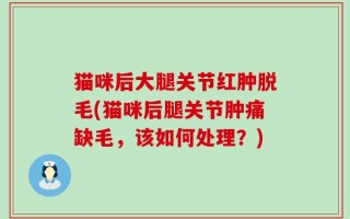 猫咪后大腿关节红肿脱毛(猫咪后腿关节肿痛缺毛，该如何处理？)