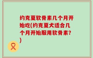 约克夏软骨素几个月开始吃(约克夏犬适合几个月开始服用软骨素？)