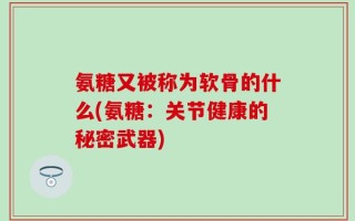 氨糖又被称为软骨的什么(氨糖：关节健康的秘密武器)