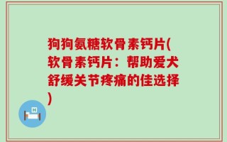 狗狗氨糖软骨素钙片(软骨素钙片：帮助爱犬舒缓关节疼痛的佳选择)