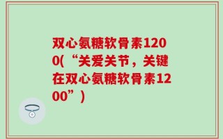双心氨糖软骨素1200(“关爱关节，关键在双心氨糖软骨素1200”)