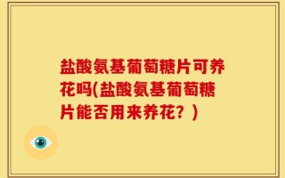 盐酸氨基葡萄糖片可养花吗(盐酸氨基葡萄糖片能否用来养花？)