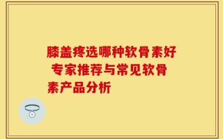 膝盖疼选哪种软骨素好 专家推荐与常见软骨素产品分析