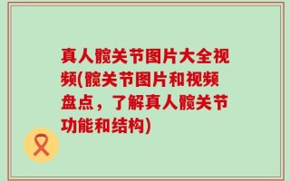 真人髋关节图片大全视频(髋关节图片和视频盘点，了解真人髋关节功能和结构)