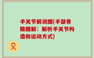 手关节解说图(手部骨骼图解：解析手关节构造和运动方式)
