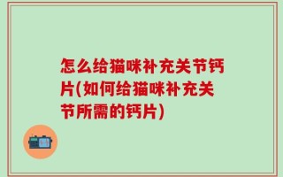 怎么给猫咪补充关节钙片(如何给猫咪补充关节所需的钙片)