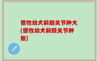 德牧幼犬前腿关节肿大(德牧幼犬前肢关节肿胀)
