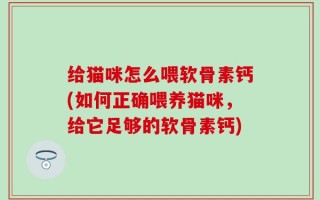 给猫咪怎么喂软骨素钙(如何正确喂养猫咪，给它足够的软骨素钙)