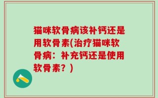 猫咪软骨病该补钙还是用软骨素(治疗猫咪软骨病：补充钙还是使用软骨素？)
