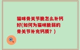 猫咪骨关节脆怎么补钙好(如何为猫咪脆弱的骨关节补充钙质？)