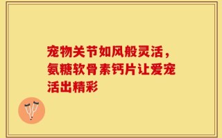 宠物关节如风般灵活，氨糖软骨素钙片让爱宠活出精彩