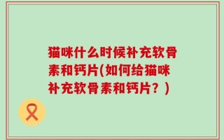 猫咪什么时候补充软骨素和钙片(如何给猫咪补充软骨素和钙片？)