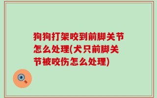 狗狗打架咬到前脚关节怎么处理(犬只前脚关节被咬伤怎么处理)