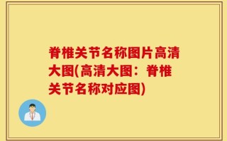 脊椎关节名称图片高清大图(高清大图：脊椎关节名称对应图)