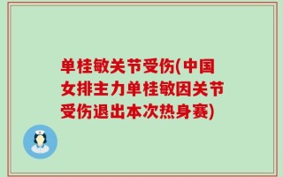 单桂敏关节受伤(中国女排主力单桂敏因关节受伤退出本次热身赛)