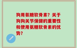 狗用氨糖软骨素？关于狗狗关节保健的重要性和使用氨糖软骨素的优势？