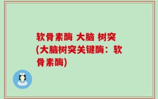 软骨素酶 大脑 树突(大脑树突关键酶：软骨素酶)