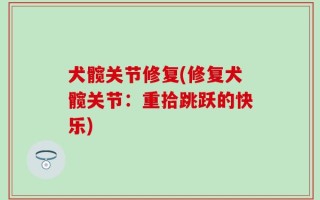 犬髋关节修复(修复犬髋关节：重拾跳跃的快乐)