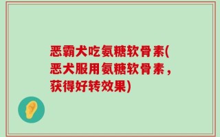 恶霸犬吃氨糖软骨素(恶犬服用氨糖软骨素，获得好转效果)
