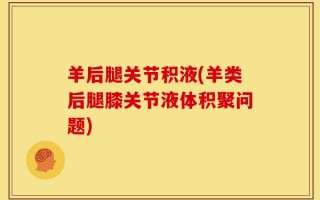 羊后腿关节积液(羊类后腿膝关节液体积聚问题)