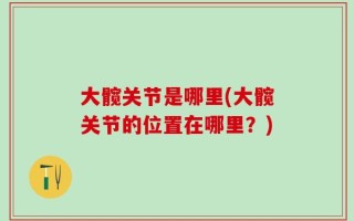 大髋关节是哪里(大髋关节的位置在哪里？)