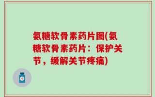 氨糖软骨素药片图(氨糖软骨素药片：保护关节，缓解关节疼痛)