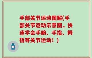 手部关节运动图解(手部关节运动示意图，快速学会手腕、手指、拇指等关节运动！)