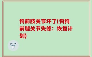 狗前肢关节坏了(狗狗前腿关节失修：恢复计划)