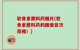 软骨素原料药图片(软骨素原料药的图像首次亮相！)