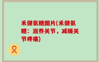 禾健氨糖图片(禾健氨糖：滋养关节，减缓关节疼痛)
