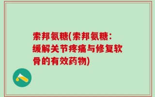 索邦氨糖(索邦氨糖：缓解关节疼痛与修复软骨的有效药物)
