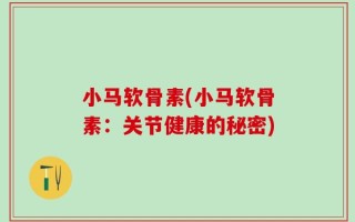小马软骨素(小马软骨素：关节健康的秘密)