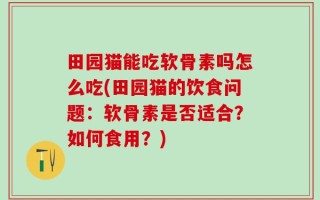 田园猫能吃软骨素吗怎么吃(田园猫的饮食问题：软骨素是否适合？如何食用？)