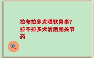 拉布拉多犬喂软骨素？拉不拉多犬治后腿关节药