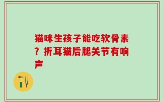 猫咪生孩子能吃软骨素？折耳猫后腿关节有响声