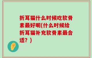 折耳猫什么时候吃软骨素最好呢(什么时候给折耳猫补充软骨素最合适？)
